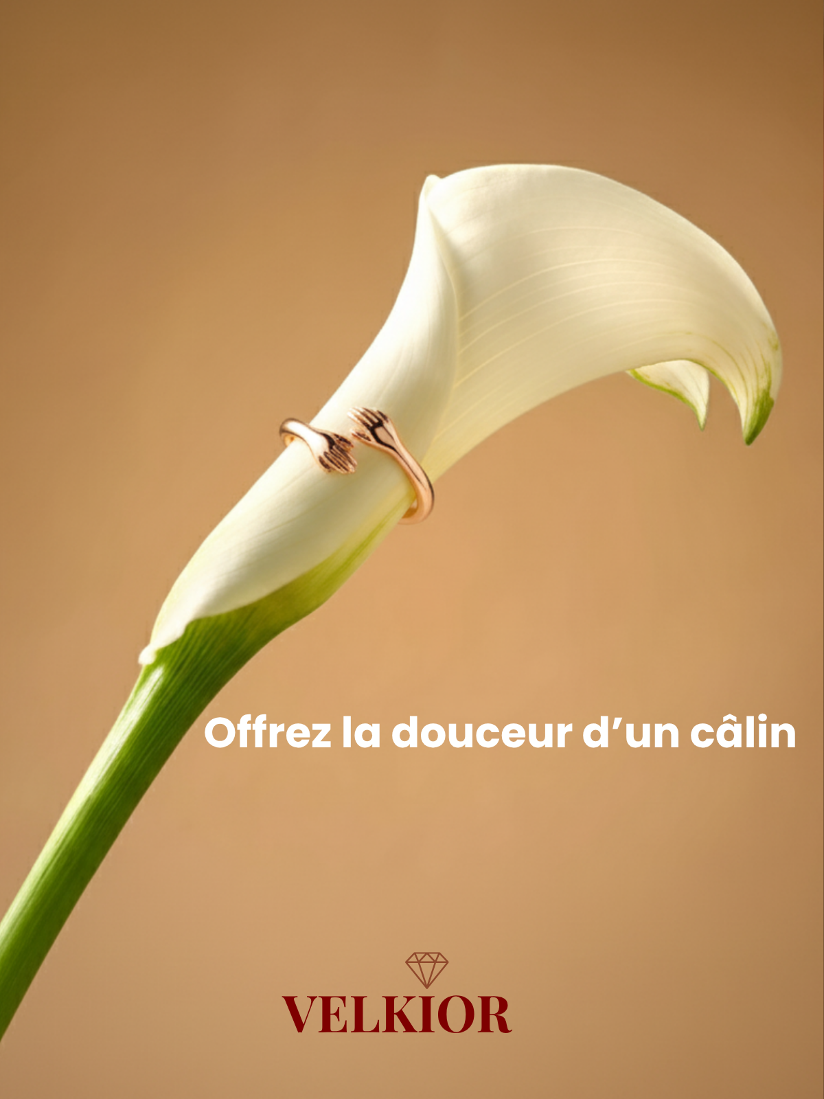 Velkior Bague Fusion